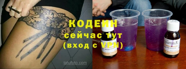 твердый Иннополис