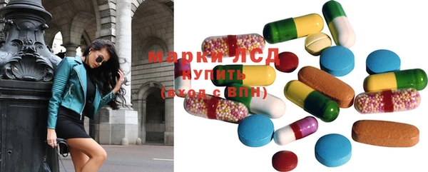гашик Инсар