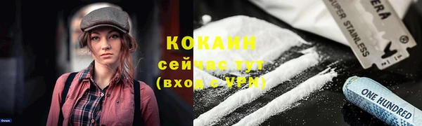 гашик Инсар