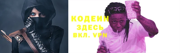 гашик Инсар