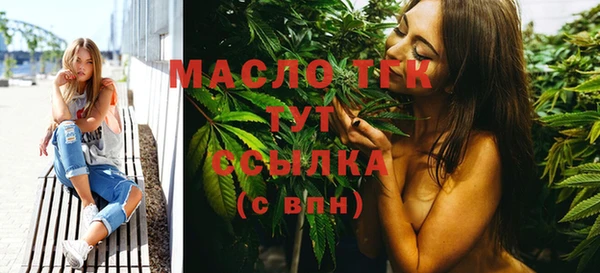 гашик Инсар