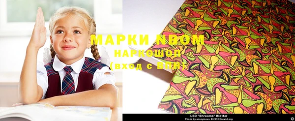 твердый Иннополис
