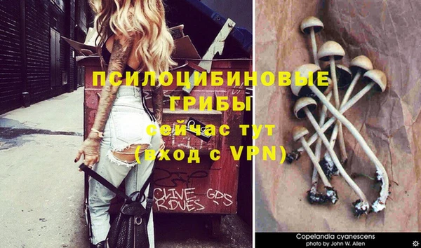 гашик Инсар