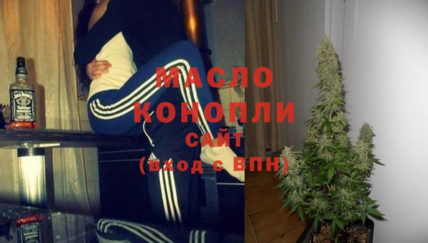 гашик Инсар