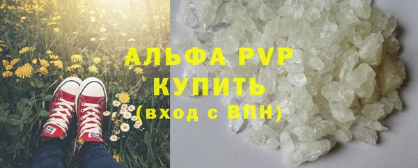 твердый Иннополис