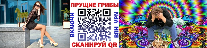 Купить  Межгорье  Псилоцибиновые грибы Psilocybe 